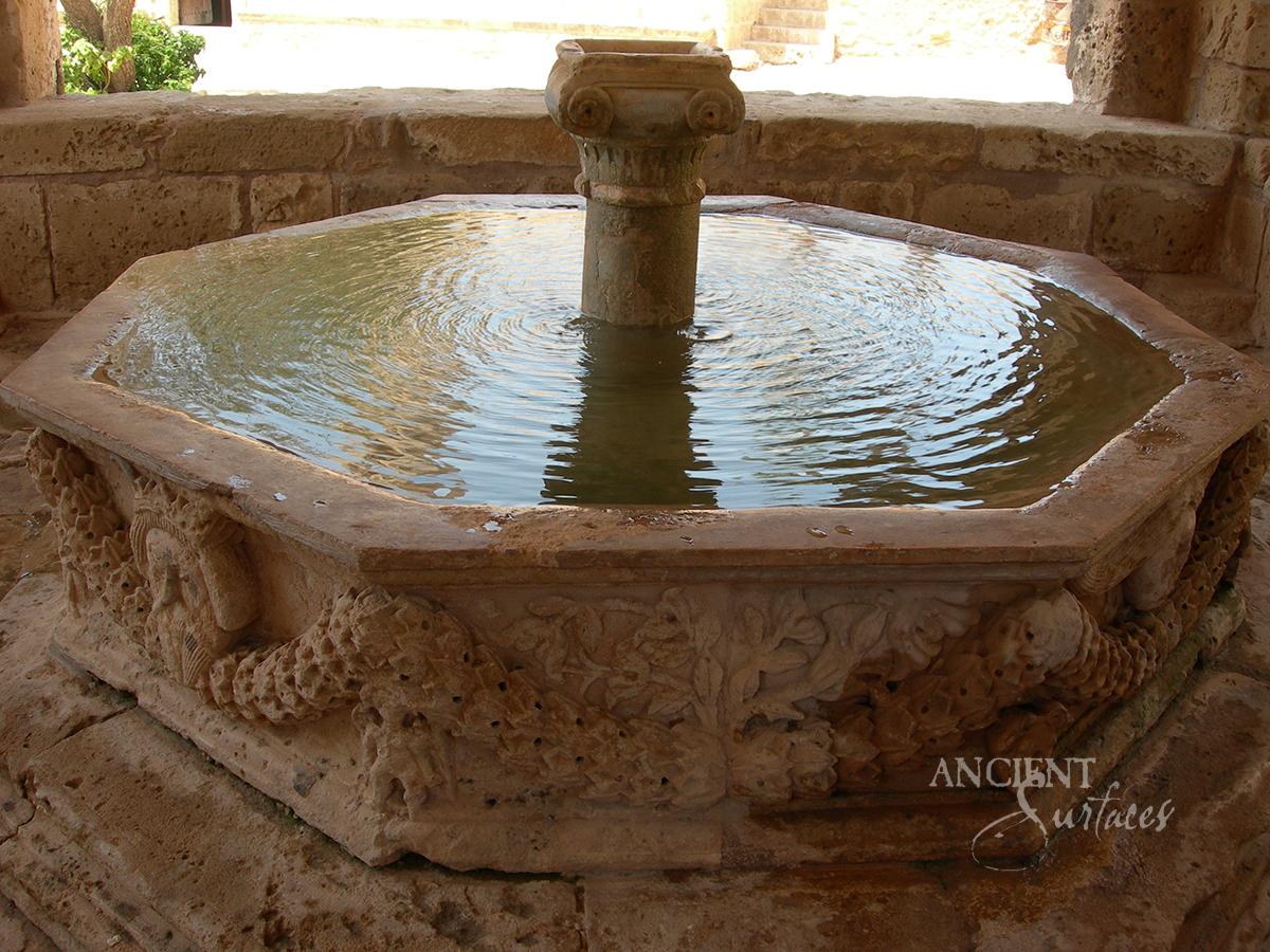 2427486731_0082d84eed_o